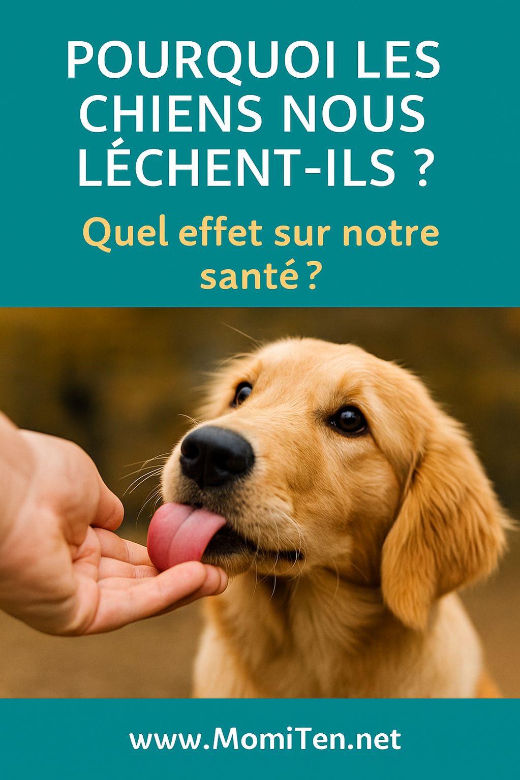 Pourquoi les chiens nous lèchent ? Ce que Mamie vous apprend